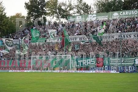 9.Spieltag BSG Chemie Leipzig - BFC Dynamo
