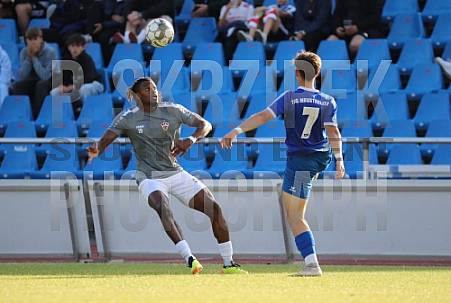 Testspiel TSG Neustrelitz - BFC Dynamo, Testspiel TSG Neustrelitz - BFC Dynamo,