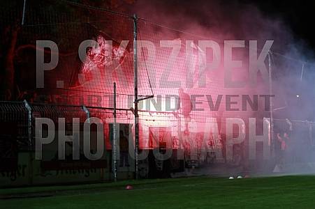 9.Spieltag BSG Chemie Leipzig - BFC Dynamo 9.Spieltag BSG Chemie Leipzig - BFC Dynamo