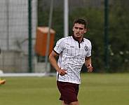 Testspiel BFC Dynamo - 1.FC Frankfurt