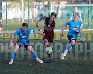 9.Spieltag BFC Dynamo U19 - Chemnitzer FC U19