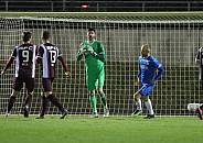 25.Spieltag SV Tasmania - BFC Dynamo,