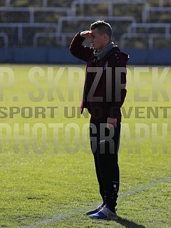 8.Spieltag BFC Dynamo U19 - FC Energie Cottbus U19 ,