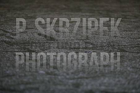 Testspiel BFC Dynamo - FC Hertha 03 Zehlendorf