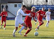 20.Spieltag ZFC Meuselwitz - BFC Dynamo