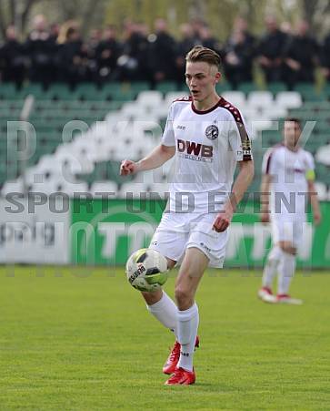29.Spieltag BSG Chemie Leipzig - BFC Dynamo