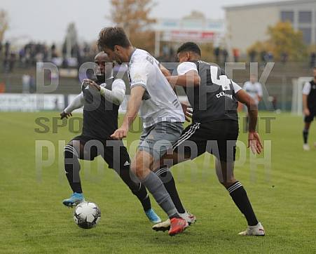 8.Spieltag BFC Dynamo - Tennis Borussia Berlin,