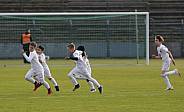 35.Spieltag BFC Dynamo - Tennis Borussia Berlin,