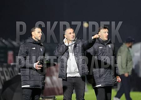 12.Spieltag BFC Dynamo - FC Viktoria 1889 Berlin