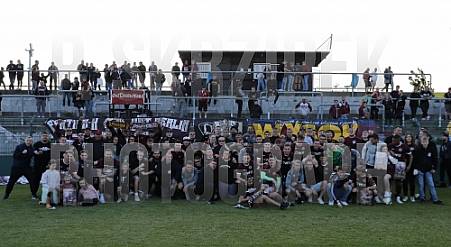 BFC Dynamo - BFC Dynamo Allstars Team,