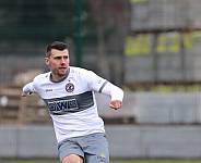 Testspiel BFC Dynamo - SV Babelsberg 03