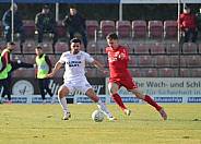 20.Spieltag ZFC Meuselwitz - BFC Dynamo