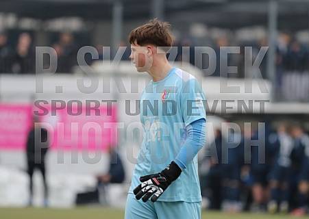 Testspiel SV Babelsberg 03 - BFC Dynamo