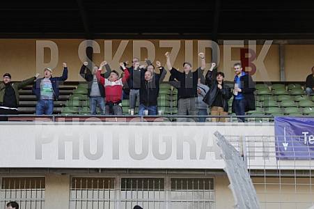 25.Spieltag Tennis Borussia Berlin - BFC Dynamo 25.Spieltag Tennis Borussia Berlin - BFC Dynamo