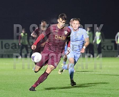 12.Spieltag BFC Dynamo - FC Viktoria 1889 Berlin