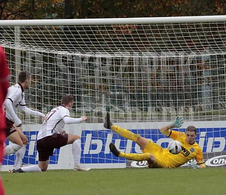 13.Spieltag ZFC Meuselwitz - BFC Dynamo