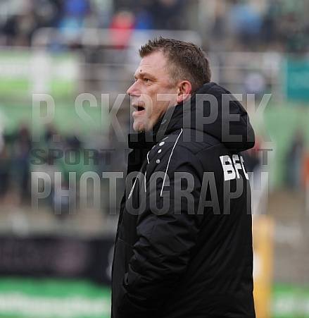 17.Spieltag BSG Chemie Leipzig - BFC Dynamo