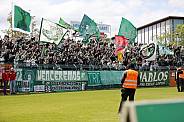 31.Spieltag BFC Dynamo - BSG Chemie Leipzig
