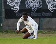 35.Spieltag BFC Dynamo - Tennis Borussia Berlin,