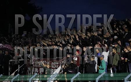 8.Spieltag BFC Dynamo - SV Lichtenberg 47,