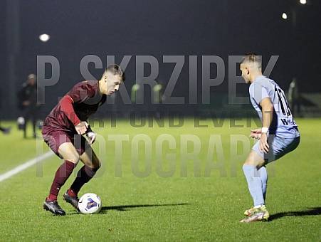 12.Spieltag BFC Dynamo - FC Viktoria 1889 Berlin