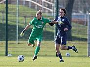 Testspiel BFC Dynamo - SV Babelsberg 03,