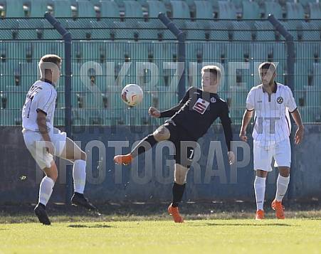 8.Spieltag BFC Dynamo U19 - FC Energie Cottbus U19 ,