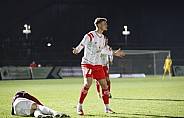 18.Spieltag BFC Dynamo - Hallescher FC