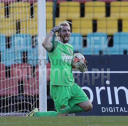 19.Spieltag BFC Dynamo - Bischofswerdaer FV08 19.Spieltag BFC Dynamo - Bischofswerdaer FV08