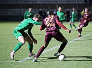 16.Spieltag BFC Dynamo - BSG Chemie Leipzig