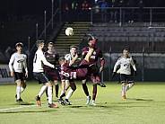 18.Spieltag BFC Dynamo - ZFC Meuselwitz,