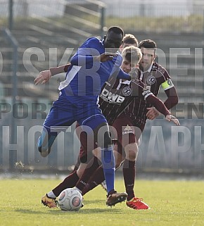 Testspiel BFC Dynamo - TSG Neustrelitz