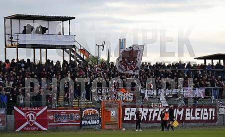 35.Spieltag BFC Dynamo - Tennis Borussia Berlin,