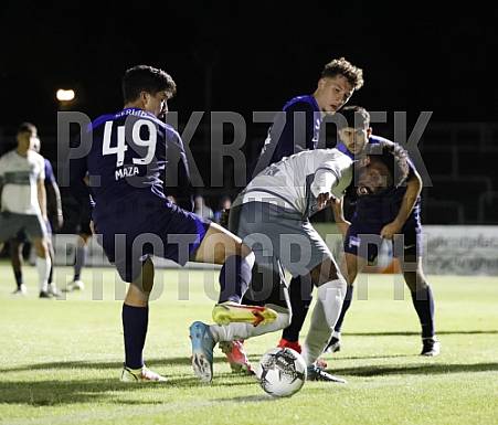 6.Spieltag BFC Dynamo - Hertha BSC U23
