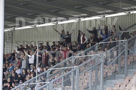 7.Spieltag FC Energie Cottbus - BFC Dynamo