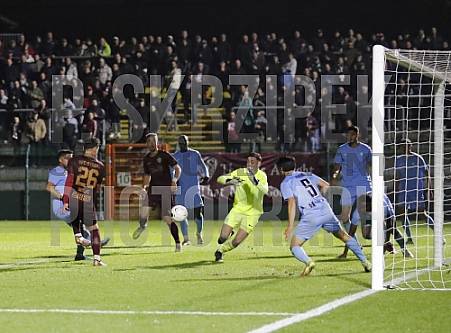 12.Spieltag BFC Dynamo - FC Viktoria 1889 Berlin