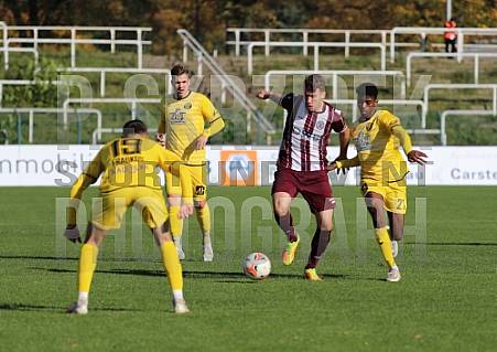 15.Spieltag BFC Dynamo - VfB Auerbach,