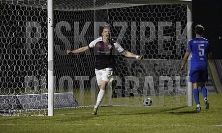 22. Spieltag BFC Dynamo - 1.FC Magdeburg II