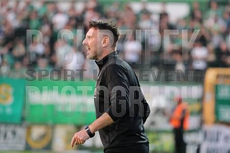 9.Spieltag BSG Chemie Leipzig - BFC Dynamo 9.Spieltag BSG Chemie Leipzig - BFC Dynamo