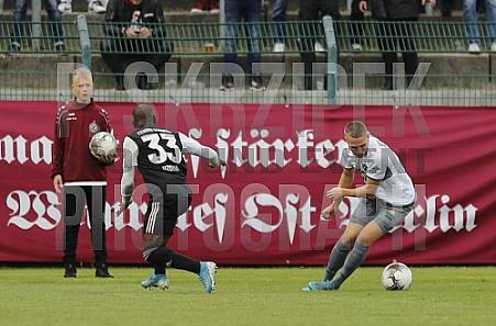 8.Spieltag BFC Dynamo - Tennis Borussia Berlin,