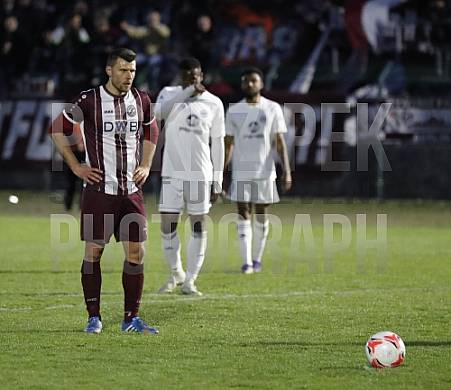 35.Spieltag BFC Dynamo - Tennis Borussia Berlin,