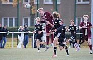 8.Spieltag BFC Dynamo U17 - 1.FC Union U16