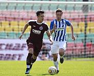31.Spieltag BFC Dynamo - Hertha BSC II ,
