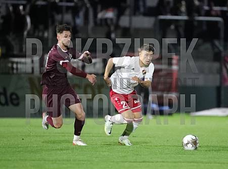 11.Spieltag BFC Dynamo - VfB Germania Halberstadt