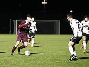 18.Spieltag BFC Dynamo - ZFC Meuselwitz,