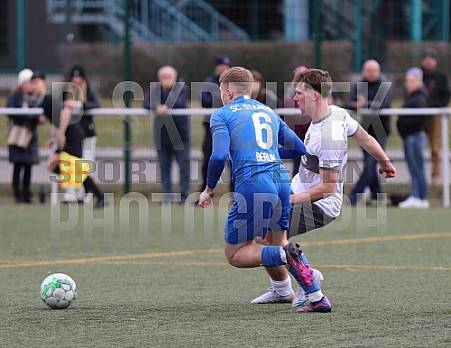 13.Spieltag BFC Dynamo - SC Staaken,