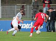 21.Spieltag ZFC Meuselwitz - BFC Dynamo