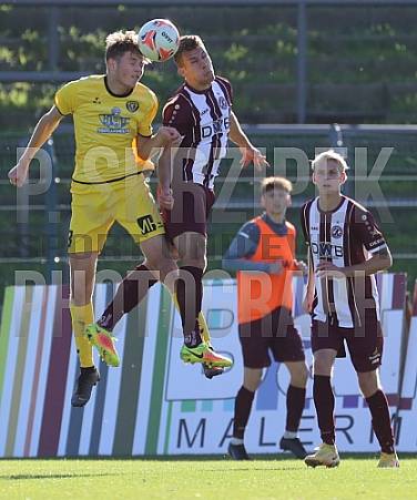 15.Spieltag BFC Dynamo - VfB Auerbach,