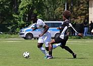 3.Spieltag BFC Preussen - BFC Dynamo,