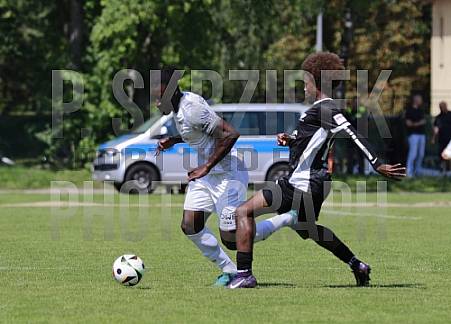 3.Spieltag BFC Preussen - BFC Dynamo,